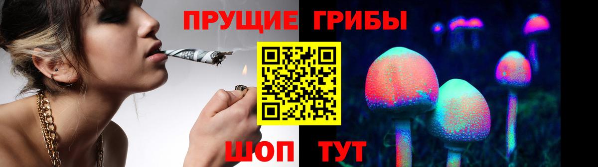 Галлюциногенные грибы Psilocybine cubensis  цены наркотик  Михайловск  Псилоцибиновые грибы MAGIC MUSHROOMS  Вход с VPN 